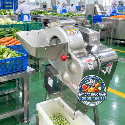 Máy Cắt Hạt Lựu Rau Củ Công Nghiệp – Cắt Nhanh, Đều, Chính Xác